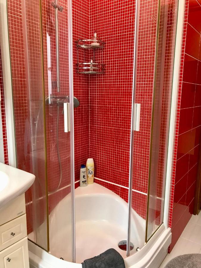 Family Apartment Near The University Chernivtsi Luaran gambar